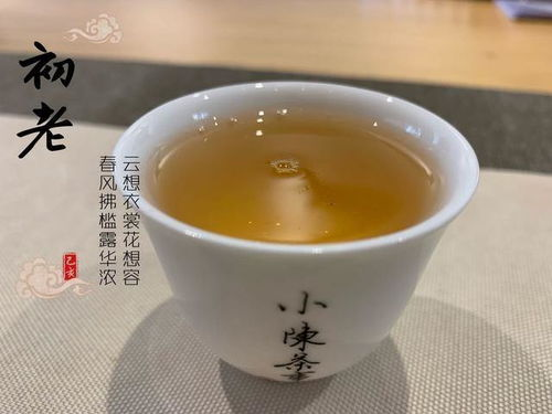 正安白茶雅集的特色与魅力， 品味正安白茶的极致体验