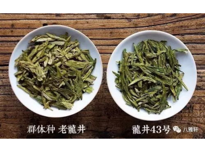 龙井茶的等级划分，了解其品质与特点