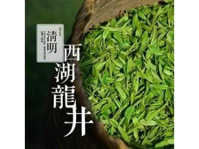 龙井茶的现场加工价格和市场因素