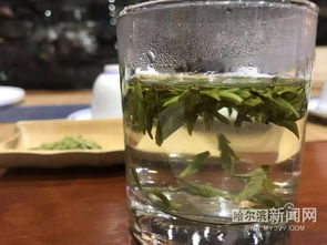 安吉龙井茶便携杯的价格与选择