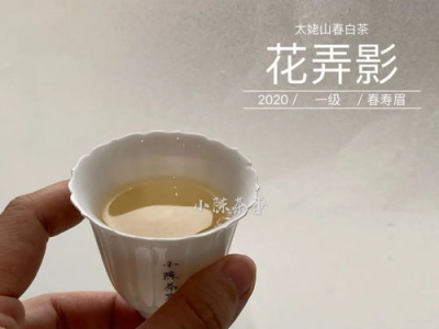 白茶的茶香与韵味