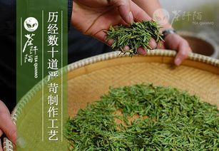 肇庆龙井茶加盟费用及投资分析