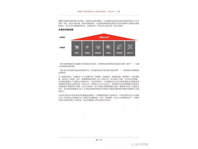 灯哥红茶的特点与品质分析, 评测与消费者反馈