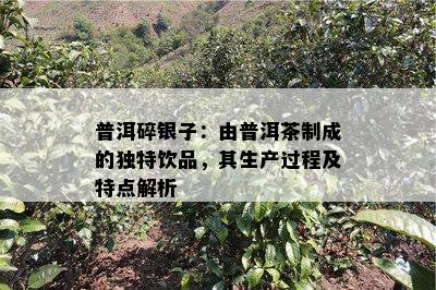 普洱茶为何不易破碎, 其独特特性解析