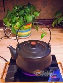 普洱茶的迷人色彩与其独特魅力