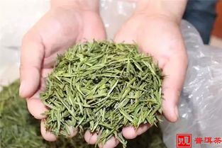 安吉白茶的好处及其特点, 深入了解这种独特茶品