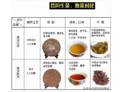 国号红茶叶的质量与特性分析, 以及其适宜的饮用方式