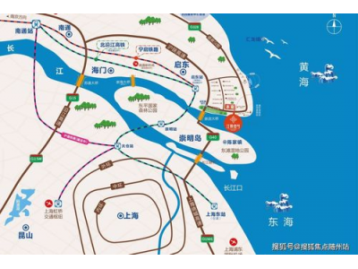 梅派白茶的品质分析与评价, 以及其独特魅力