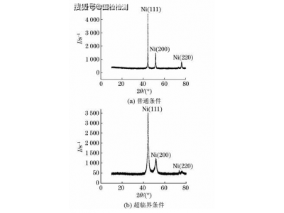 龙井茶的嘌呤碱含量分析及其影响