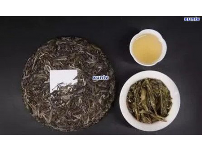 普洱白茶的质量与特点